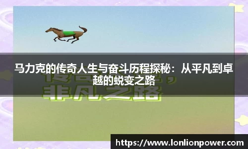 九游会·(j9)官方网站